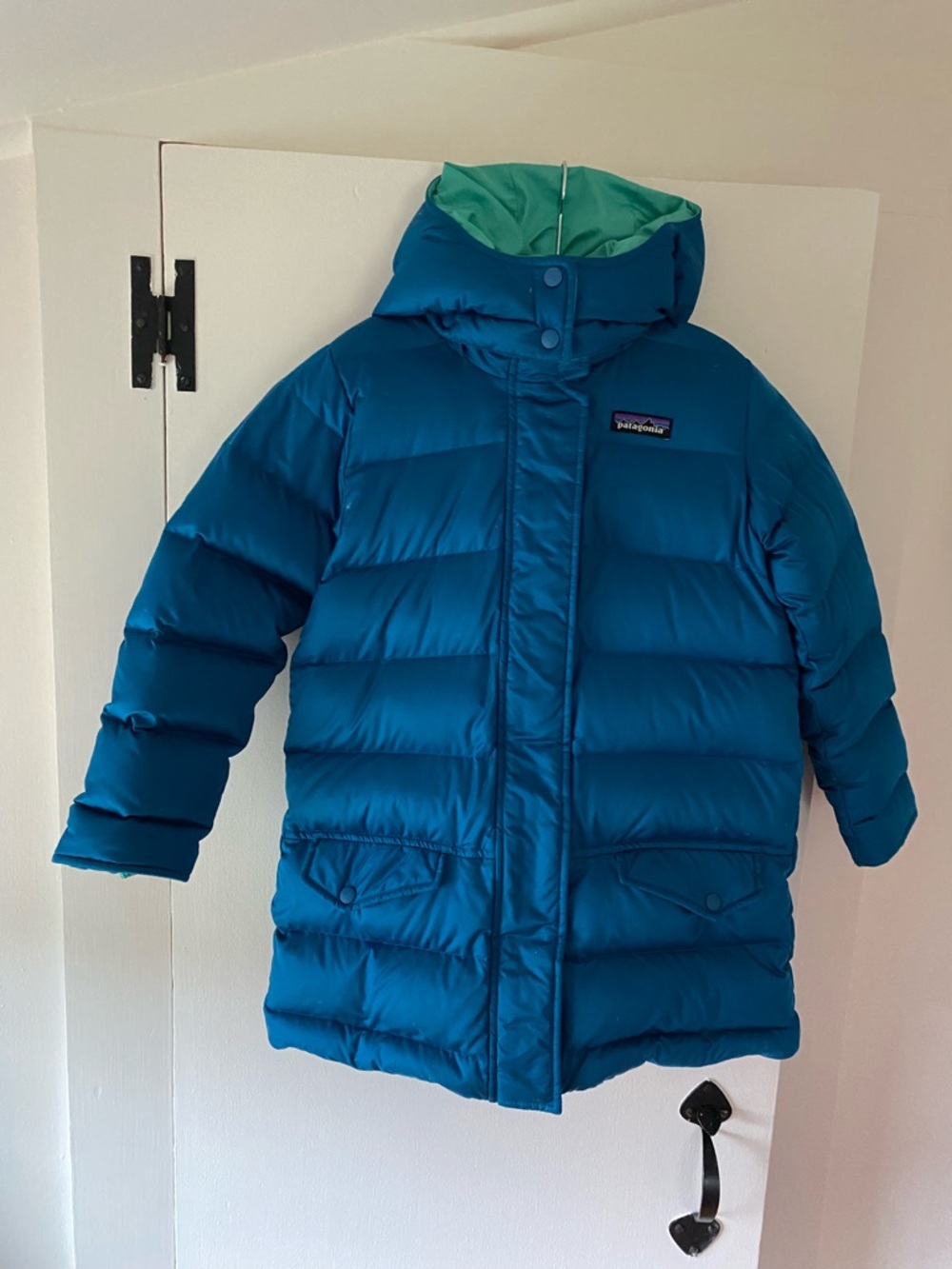 Patagonia Teal Blue Down Kids Parka with Mint Lining